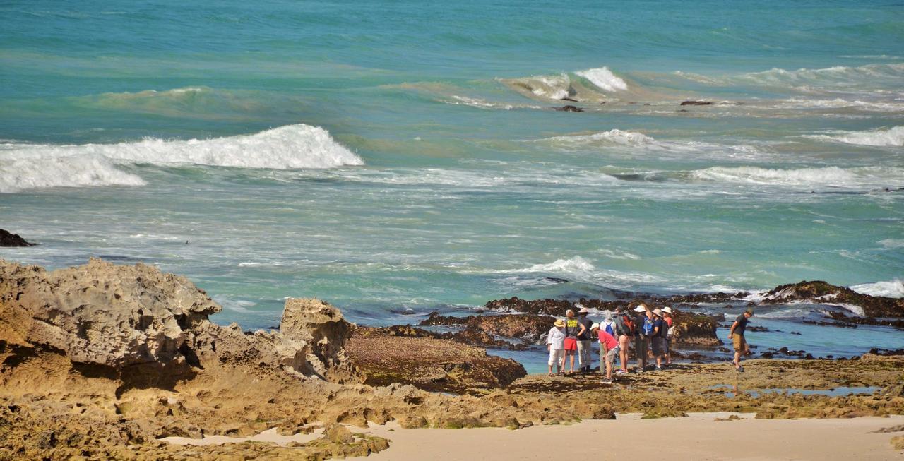 De Hoop Collection Suites De Hoop Nature Reserve Εξωτερικό φωτογραφία