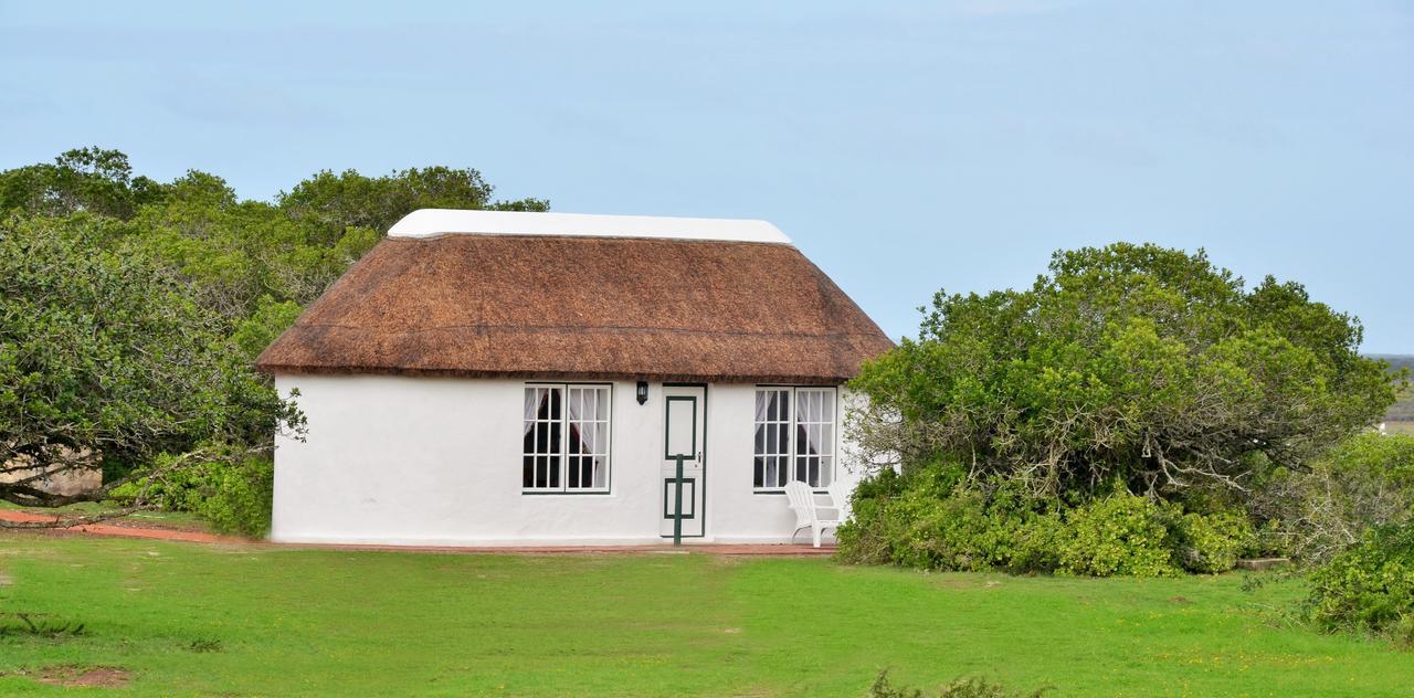 De Hoop Collection Suites De Hoop Nature Reserve Εξωτερικό φωτογραφία